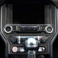 Carbon Fiber Interior