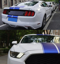 Mustang Dual Rally Stripe Kit