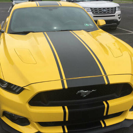 Mustang FM Super Snake Style Wide Rally Stripe