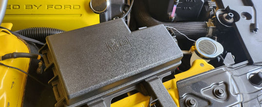 Mustang (2015-23) Mustang Logo Fuse Box Vanity Plate