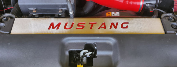 FM Mustang Radiator Vanity Plate Kit - Mustang FM (2015-17)