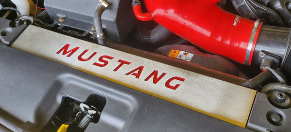 Mustang (2015-23) Radiator Cover Vanity Plate Kit