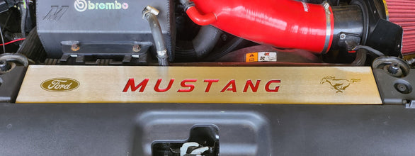 FM Engraved Mustang Radiator Cover Vanity Plate Kit - Mustang FM (2015-17)