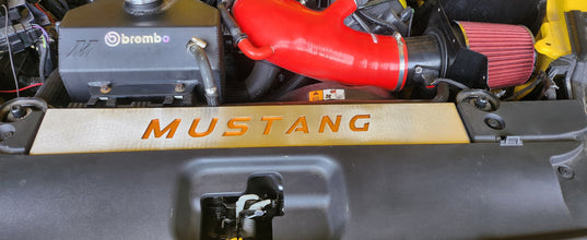 FN Mustang Radiator Cover Vanity Plate Kit - Mustang (18-23)