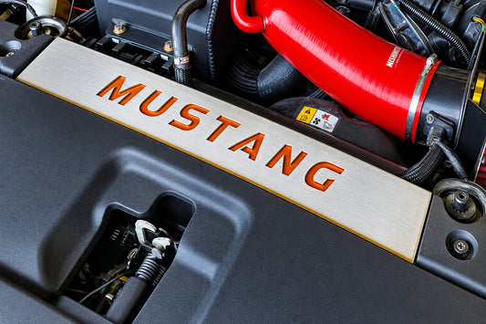 FM Mustang Radiator Vanity Plate Kit - Mustang FM (2015-17)