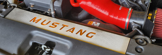 FM Mustang Radiator Vanity Plate Kit - Mustang FM (2015-17)