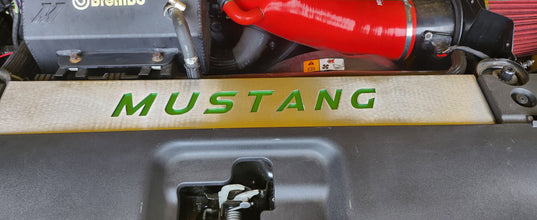 FM Mustang Radiator Vanity Plate Kit - Mustang FM (2015-17)