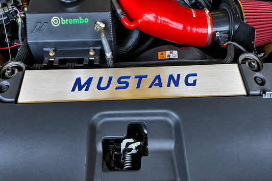 FN Mustang Radiator Cover Vanity Plate Kit - Mustang (18-23)