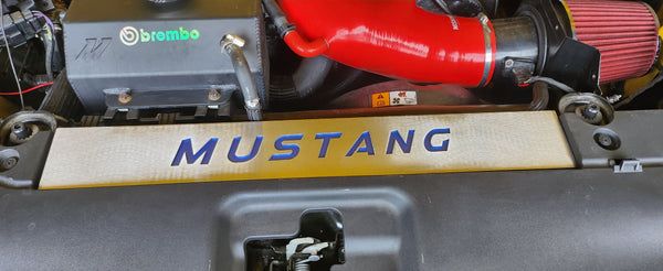 FN Mustang Radiator Cover Vanity Plate Kit - Mustang (18-23)