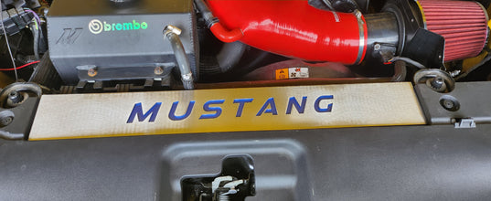 FN Mustang Radiator Cover Vanity Plate Kit - Mustang (18-23)