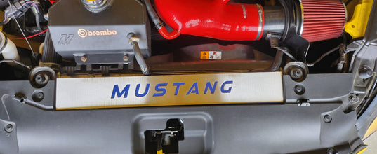 FM Mustang Radiator Vanity Plate Kit - Mustang FM (2015-17)