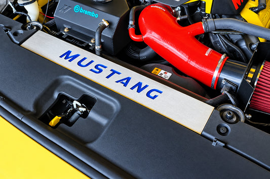 FM Mustang Radiator Vanity Plate Kit - Mustang FM (2015-17)