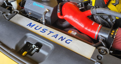 FM Mustang Radiator Vanity Plate Kit - Mustang FM (2015-17)