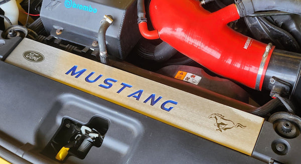 FM Engraved Mustang Radiator Cover Vanity Plate Kit - Mustang FM (2015-17)