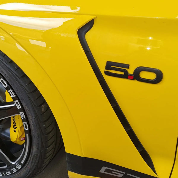 Mustang (15-23) GT350 Style Fender Scoops