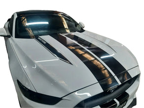 Mustang FM (15-17) MUSTANG Hood Decal Set
