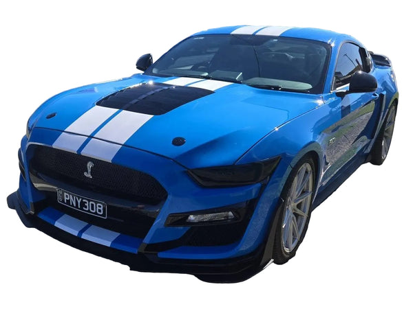 GT500 Stage 2 (Replica Package) 2015-17 (FM)