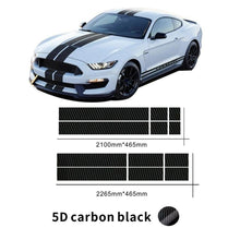 Carbon Print Black Dual Stripe Kit