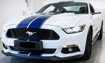 Mustang Dual Rally Stripe Kit