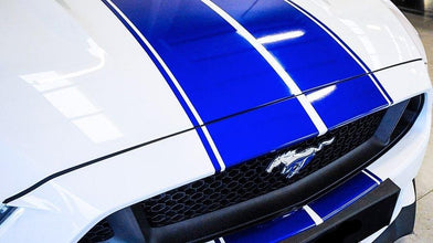 Mustang Dual Rally Stripe Kit