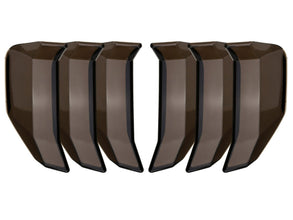 Mustang FN (18-23) Dark Matter Taillight Covers