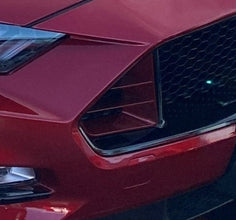 Mustang FN (18-23) Aero RTR Style Grille Inserts