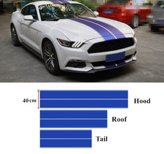 Mustang Dual Rally Stripe Kit