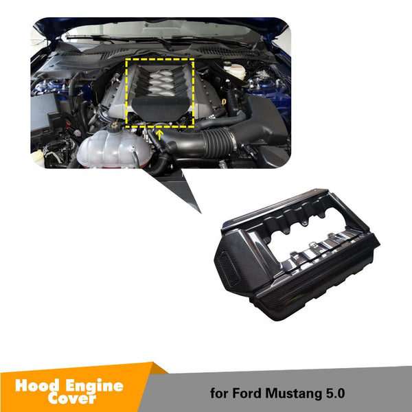 Ford Mustang GT FM  (15-17) Carbon Fiber Engine Cover