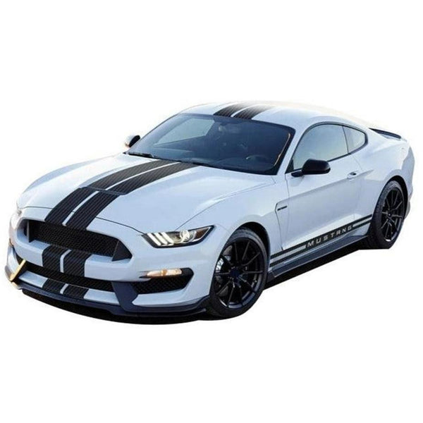 Carbon Print Black Dual Stripe Kit