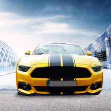 Mustang Dual Rally Stripe Kit