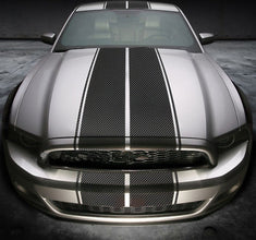 Mustang Dual Rally Stripe Kit