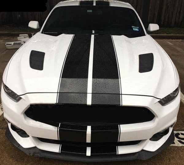 Mustang Dual Rally Stripe Kit