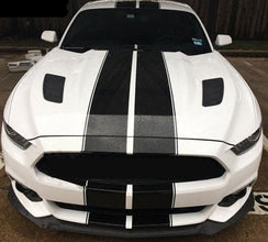 Mustang Dual Rally Stripe Kit