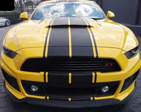 Mustang Dual Rally Stripe Kit