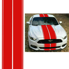 Mustang Dual Rally Stripe Kit