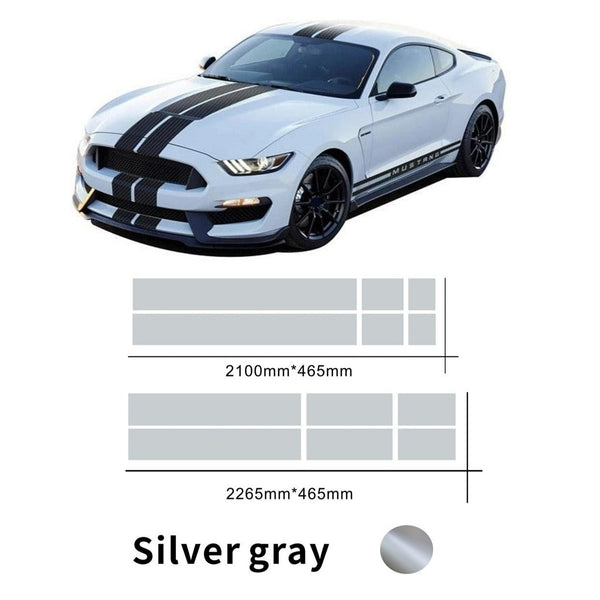Silver Grey Dual Stripe Kit