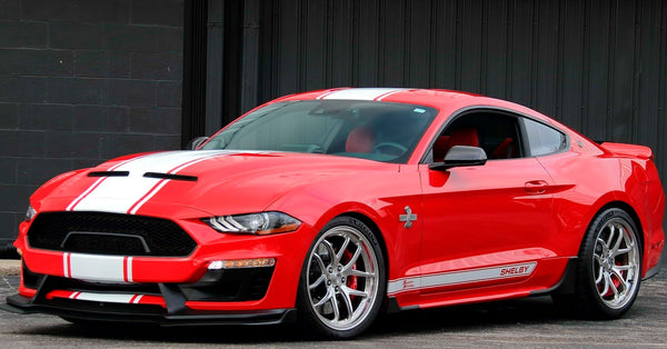 White Gloss - Mustang Super Snake Style Wide Rally Stripe