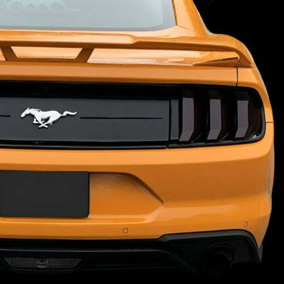 Mustang FN (18-23) Smoked Full Vinyl Tinting Kit (Front & Rear)