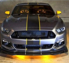 Load image into Gallery viewer, Mustang OTT Stripe Decal with Pin Striping
