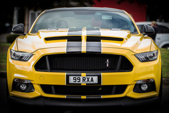 Mustang Dual Rally Stripe Decal w Pin Stripes