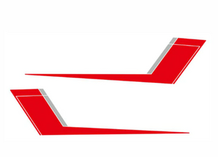 Mustang Roush Style Side Decal Set
