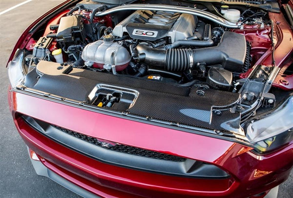 Mustang (2015-17) GT Carbon Fiber Radiator Cover