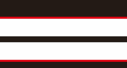 Mustang Dual Rally Stripe Decal w Pin Stripes