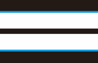 Mustang Dual Rally Stripe Decal w Pin Stripes