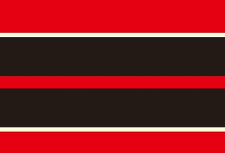 Mustang Dual Rally Stripe Decal w Pin Stripes