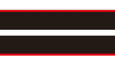 Mustang Dual Rally Stripe Decal w Pin Stripes