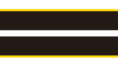 Mustang Dual Rally Stripe Decal w Pin Stripes