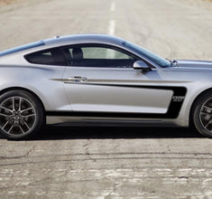 Mustang GT Shelby & Boss 302 Door Side Tail Decals
