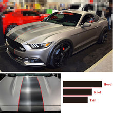 Mustang OTT Stripe Decal with Pin Striping