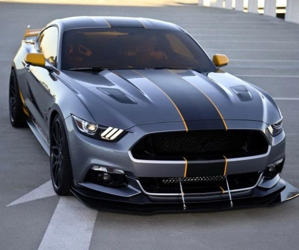 Mustang OTT Stripe Decal with Pin Striping